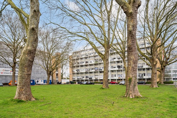 Medium property photo - Van Bosseplantsoen 7, 3317 PH Dordrecht